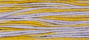 Clara (Purple Yellow) - 1146