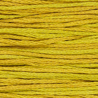 Lichen (Green Yellow) - 2208