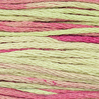 Coleus (Green Pink) - 1126