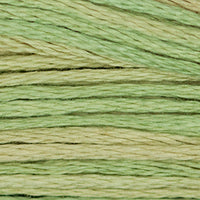 Butter Bean - 1189