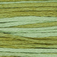 Dried Sage (Green) - 1191