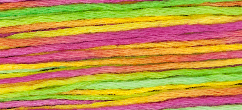 Calypso (Green Yellow Pink) - 4143