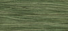Terrapin (Green) - 1274