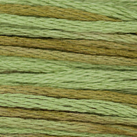 Celadon - 1261