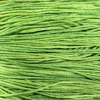 Apple Pucker (Green) - 2202a