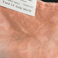18 Count Pumpkin Spice Aida  **October FOTM**