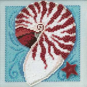 Nautilus Shell Buttons and Beads